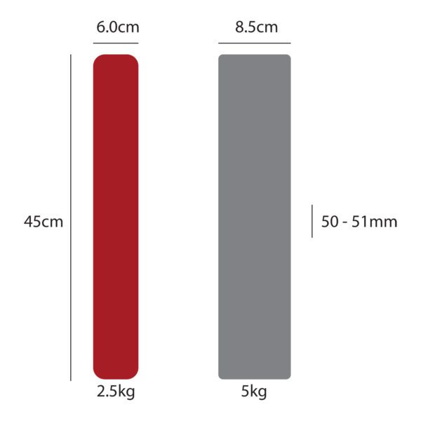 Technique Bumper Plates Pair - Image 2